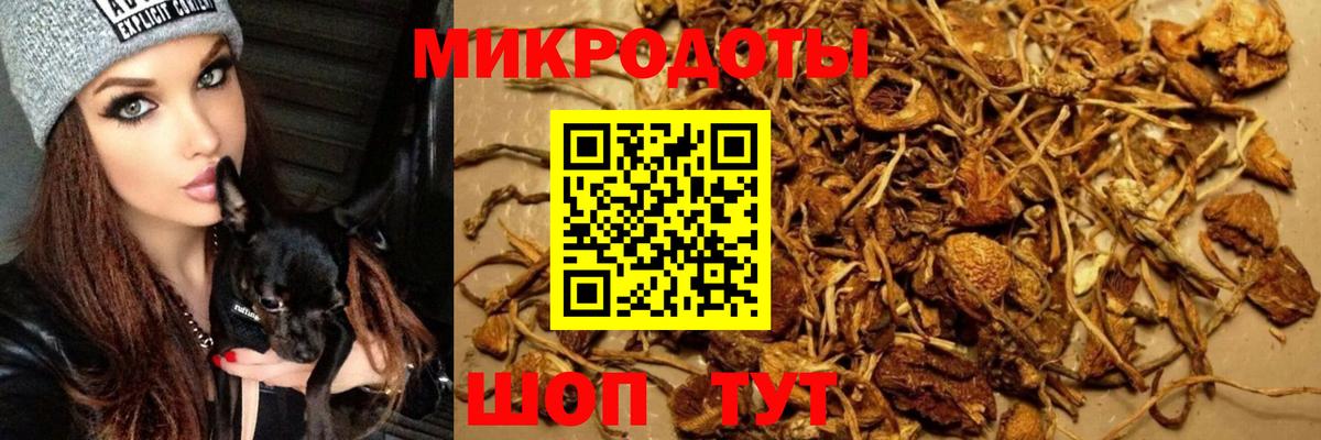 Кинель  Галлюциногенные грибы прущие грибы  Вход с VPN 