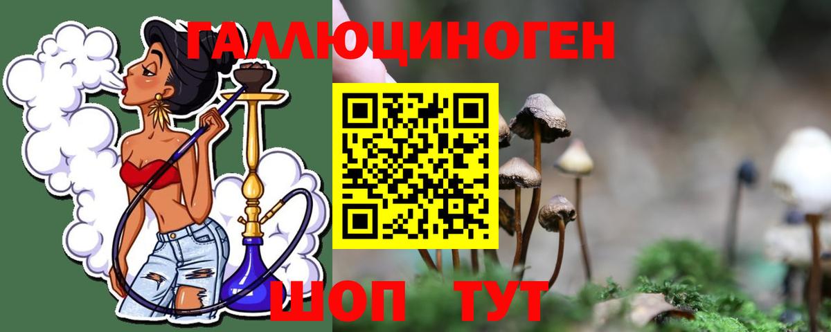 Галлюциногенные грибы GOLDEN TEACHER Кинель